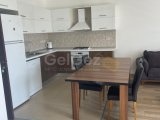2+1 FORT RENT GIRNE MERKEZ