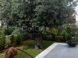 Ozanköy'de Üç yatak odalı Satılık Villa