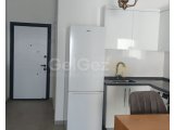 Kiralık niş daire Sezar sitesinde 330£ aidat dahil yıllık ödemeli