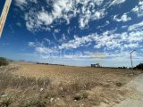 Lefkoşa'da Satılık Arazi