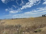 Lefkoşa'da Satılık Arazi