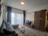 Semi studio Sezar Readort 50£ günlük