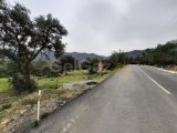 DAĞ VE DENİZ MANZARALI