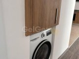 Arkadaşlar şaşıracak! EMTAN ZEYTİNLİKTE 2+1 daire