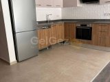 Arkadaşlar şaşıracak! EMTAN ZEYTİNLİKTE 2+1 daire