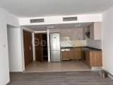 Arkadaşlar şaşıracak! EMTAN ZEYTİNLİKTE 2+1 daire