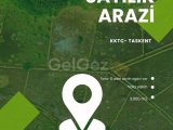 TAŞKENTTE SATILIK ARAZI