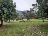 DAĞ VE DENİZ MANZARALI