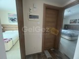 TAPU HAZIR TEK YETKİLİ