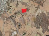 9.5 DONUM TÜRK KOÇANLI