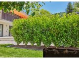 Micro-Drip Çit/Çalı Sulama Seti 50m