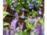 city gardening Balkon Bitkileri Sulama Seti