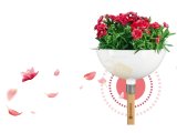 ClickUp! Çiçek Saksısı