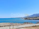 GİRNE LAPTA YÜRÜYÜŞ YOLU BÖLGESİNDE SATILIK GENİŞ BAHÇELİ DAİRE 2+1/105 000 STG/6 -12 AY TAKSİT!!/+905391147350