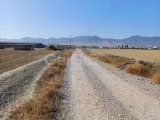 LEFKOŞA DÜZOVADA SATILIK ARSALAR