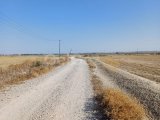 LEFKOŞA DÜZOVADA SATILIK ARSALAR