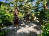 GİRNE ALSANCAK (İNCESU) SATILIK MUHTEŞEM VİLLA 4+1 ÖZEL HAVUZ!!! /329000 STG/+905391147350