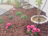 GİRNE LAPTA KİRALIK HAVUZLU VİLLA 3+1 DENİZE SIFIR!!/2500 STG /+90 539 11473 50
