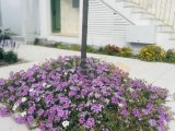 GİRNE LAPTA KİRALIK HAVUZLU VİLLA 3+1 DENİZE SIFIR!!/2500 STG /+90 539 11473 50