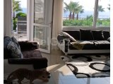 GİRNR LAPTA DENİZE SIFIR GÜNLÜK KİRALIK 150 STG/+905391147350
