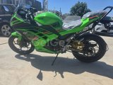 KAWASAKİ NİNJA
