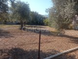 Girne Ozanköy- Karakum bölgesinde satılık 800 m2