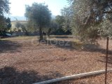 Girne Ozanköy- Karakum bölgesinde satılık 800 m2