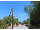 Girne Bellapais'de Muhteşem Lokasyonda Satılık, Bir Dönüm Arsa!