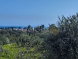 Kıbrıs Girne Bellapais'te Özel Havuzlu ve Geniş Kullanım Alanlı Kiralık 3+1 Villa
