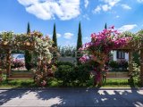 Girne Lapta, Satılık 1+1 2+1 ve 3+1 Daireler 170.000 STG / +905338881419