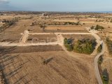 İskele Bafra Satılık Arsalar 82.420 STG başlayan fiyatlarla/ +90533 8881419
