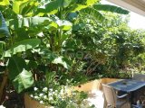 Girne Karaoğlanoğlu Satılık Denize Sıfır Türk Koçanlı 3+2 Villa 290.000 STG/+905338881419