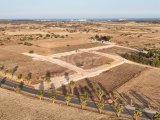 İskele Bafra Satılık Arsalar 82.420 STG başlayan fiyatlarla/ +90533 8881419