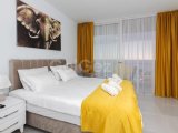 İskele Boğaz Satılık Deniz Manzaralı 1+0 Daire 70.000 STG/+905338881419