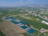 Kıbrıs Lefkoşa Düzova Bölgesinde Parselasyon Projesi hazır Satılık Arazi