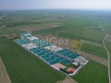 Kıbrıs Lefkoşa Düzova Bölgesinde Parselasyon Projesi hazır Satılık Arazi
