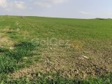 Girne Dağyolu Satılık 10 donum 2 evlek Arsa 120.000 STG/+905338881419