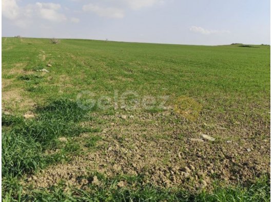 Girne Dağyolu Satılık 10 donum 2 evlek Arsa 120.000 STG/+905338881419