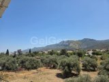Girne Edremit Kiralık 1+1 Daire 550 STG/+905338881419