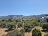 Girne Edremit Kiralık 1+1 Daire 550 STG/+905338881419
