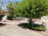 Girne Lapta Kiralık Deniz Manzaralı 3+1 Villa 1100 STG/+905338881419