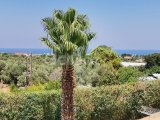 Girne Lapta Kiralık Deniz Manzaralı 3+1 Villa 1100 STG/+905338881419