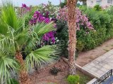 Girne Lapta Kiralık 3+1 Havuzlu Villa 1300 STG/+905338881419
