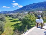Girne Lapta Satılık 3+2 Villa 350.000 STG/+905338881419