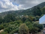 Lapta Başpınar Satılık 4+1 Havuzlu Villa 430.000 STG/+905338881419