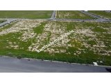 LEFKOŞA GÖNYELİ BATIKENT BÖLGESİNDE TİCARİ İZİNLİ SATILIK ARSA