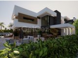 EDREMIT BOLGESINDE DAG VE DENIZ MANZARALI 4+1 MODERN VILLALAR