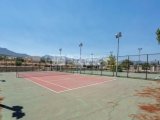 Girne Esentepe Turtle Bay Sitesi Yenilenmiş 2+1 Fırsat Dairesi