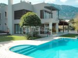 Girne Lapta Bölgesinde Kiralık Özel Havuzlu Lüks Tasarımlı 4+1 Villa