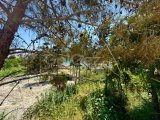 Kıbrs Girne Merkez de Denize Yürüme Mesafesinde Elit Site de Sıfır Satılık 1+1 Rezidans